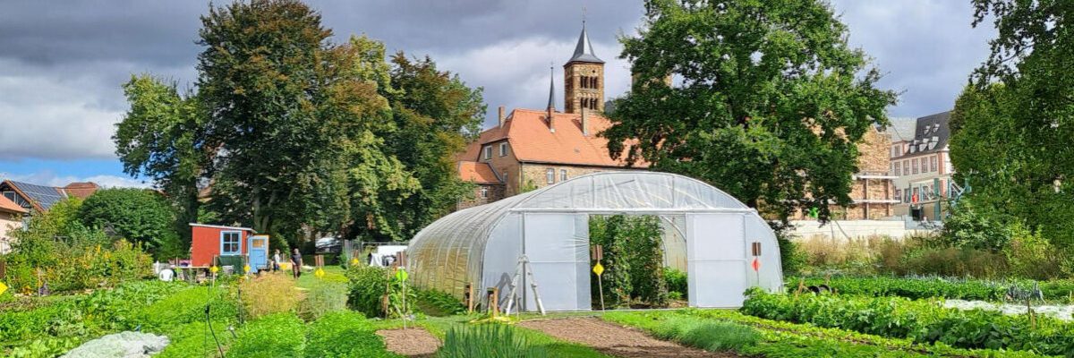 JPEG-Bild-4322-B28D-06-0